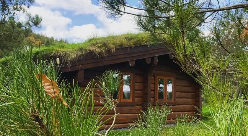 Log home village - Image 1