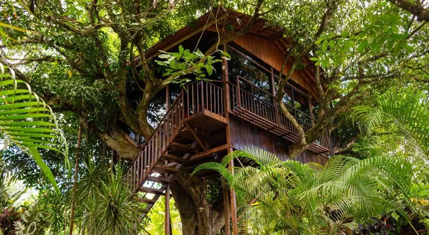 Hotel Heliconias Nature Inn & Hot Springs - Image 1