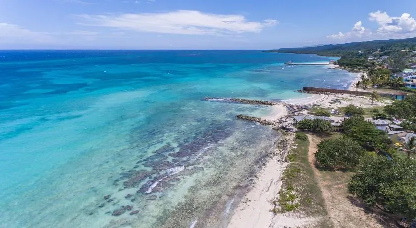 Beach Palms Villa - Image 1