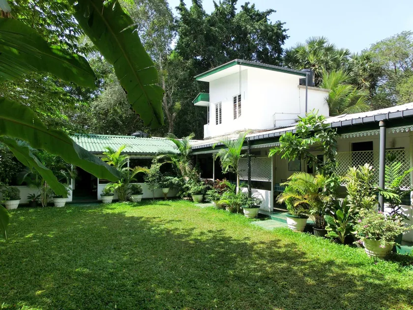Lievis Tourist Homestay - Anuradhapura - Image 1