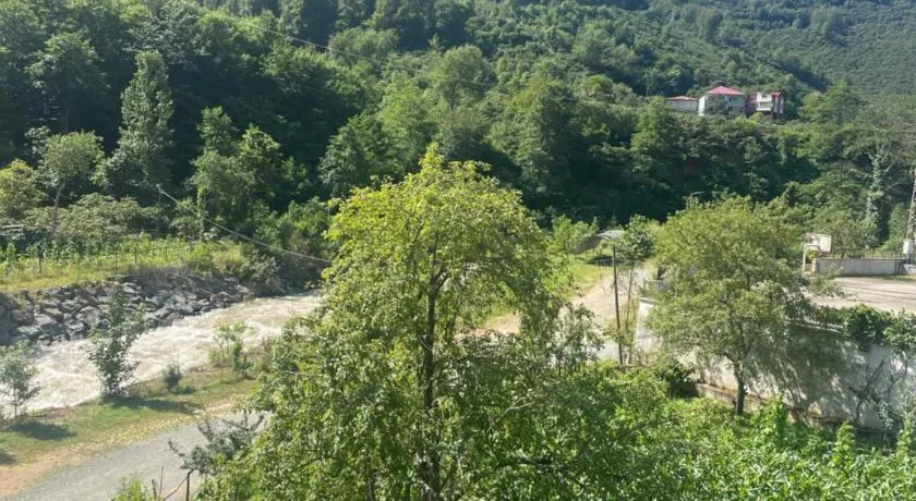 Yeşil ve huzur dolu bir daire - Image 1