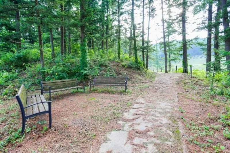Yeoju Hana Pension - Image 1