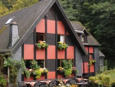 Hotel Schmausemühle - Image 1