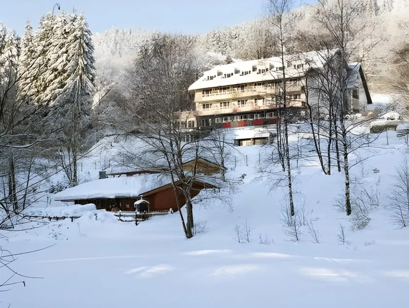 Waldhaus am See - Image 1