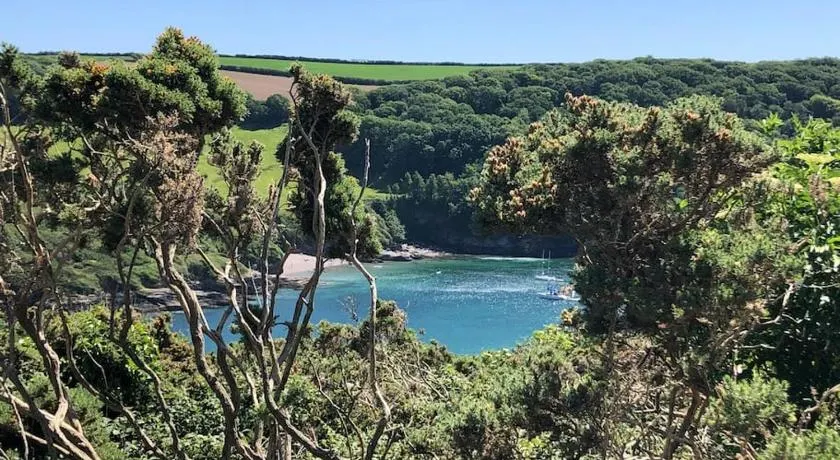 Spacious cottage in the village of Wembury - Image 1