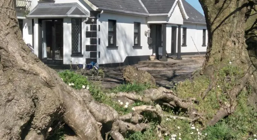 The Wandering Donkey Guest House - Image 1