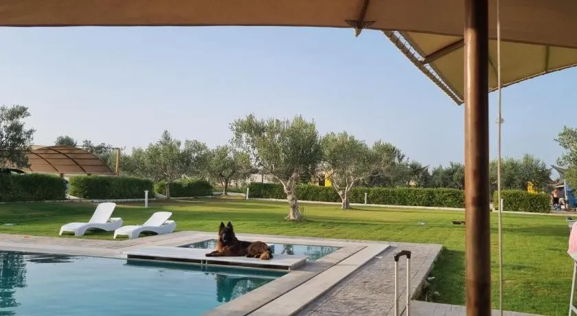 Maison dolce vita - Image 1