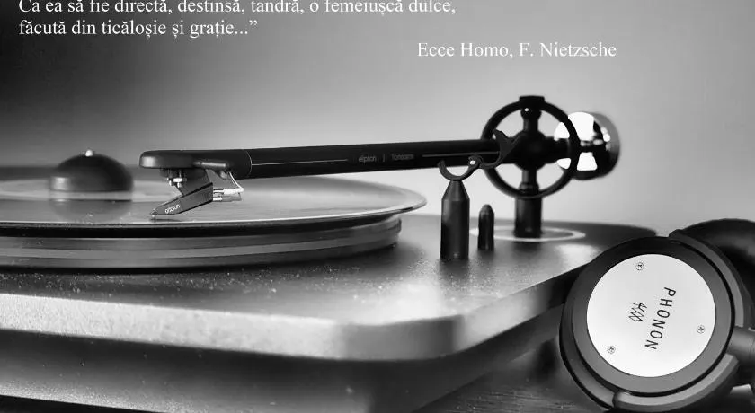 VINYL House. A quiet street in the centre of city - Image 1