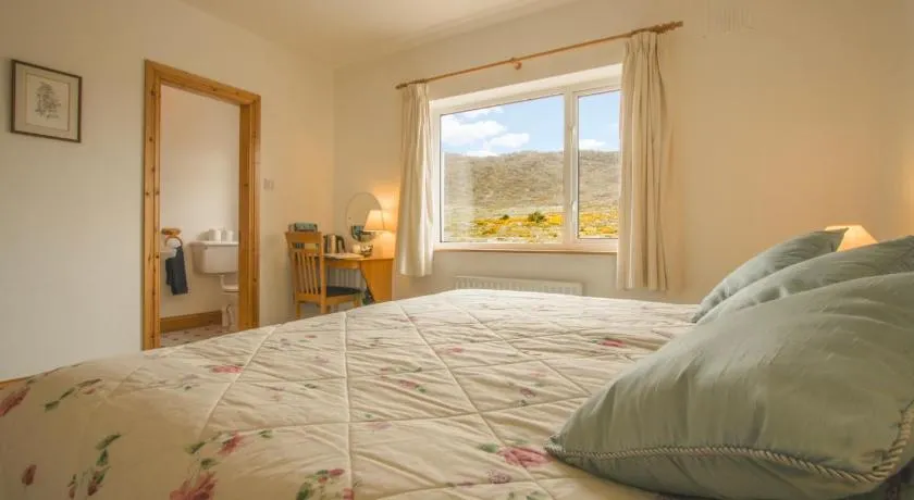 Errisbeg Lodge Bed + Breakfast - Image 1