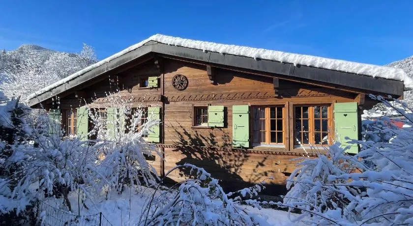 Gstaad little Chalet - Image 1