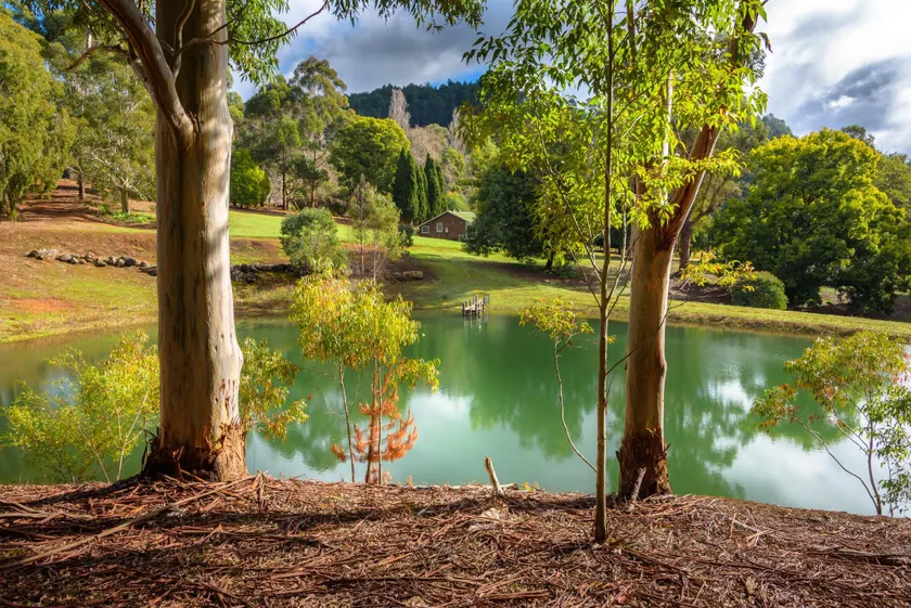 Lewana Cottages - Image 1