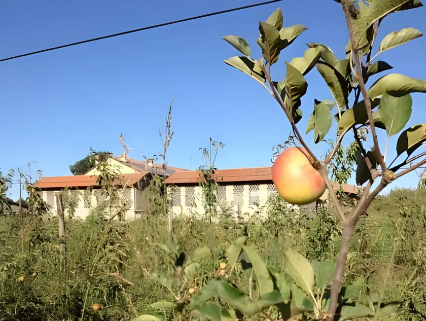 Cascina delle Mele - Image 1