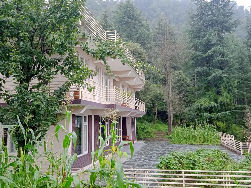 Junglaat Stays & Experiences - Image 1