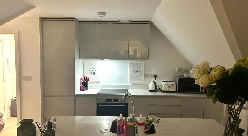The Penthouse Double Bedroom for Rent Use of kitchen - Image 1