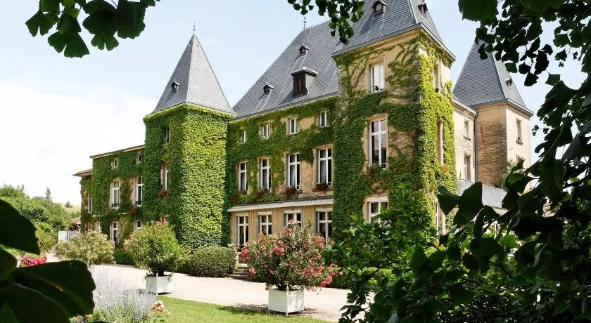 Château d'Adomenil - Image 1