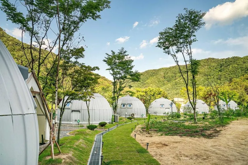 Yangpyeong Eco Igloo Glamping - Image 1