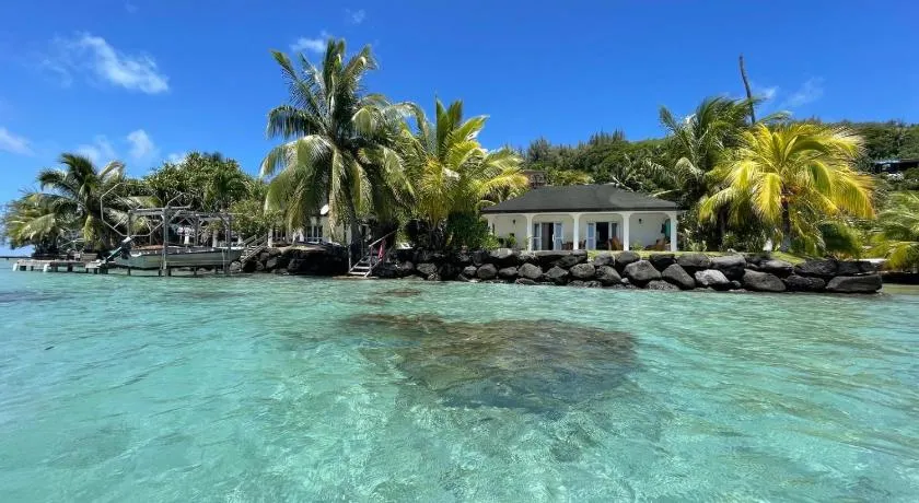 PARADISE - Image 1