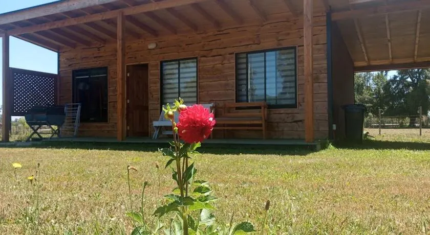 Cabañas Quilacoyan entre Villarrica y Pucon - Image 1