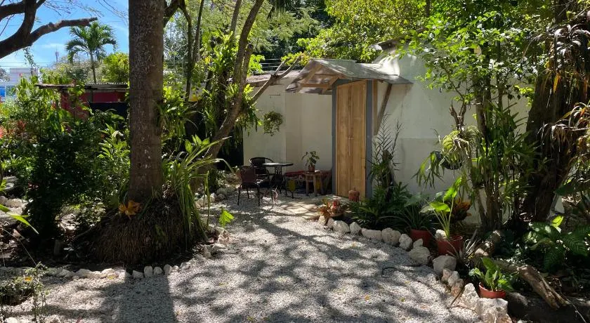 La Selva - Image 1