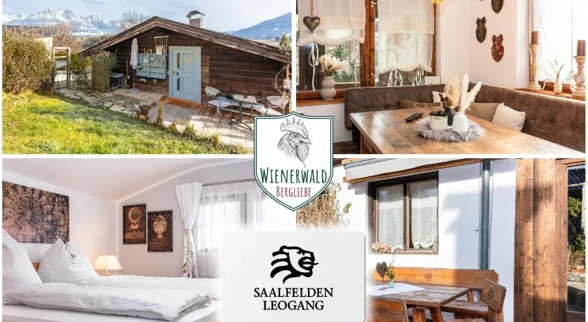 Ferienhaus Wienerwald - Saalfelden - Image 1