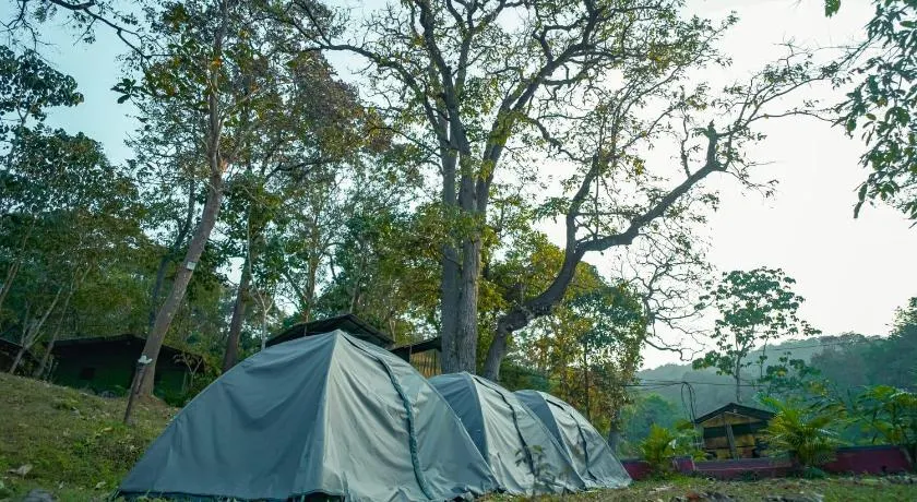 Dandeli River Valley Resort - Image 1