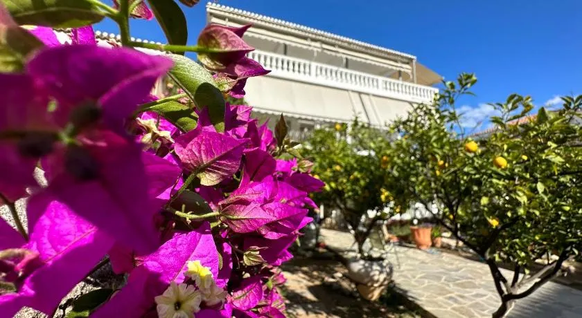 Kamelia Hotel - Image 1