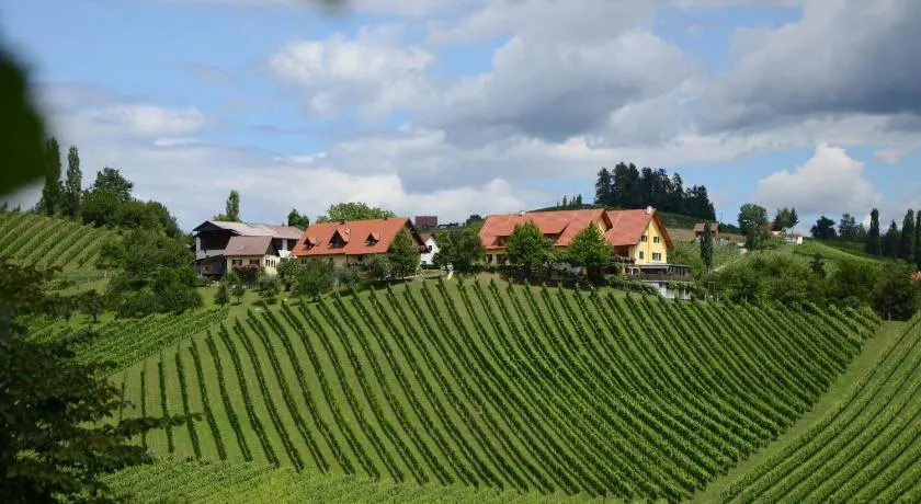 Weingut Fellner - Image 1
