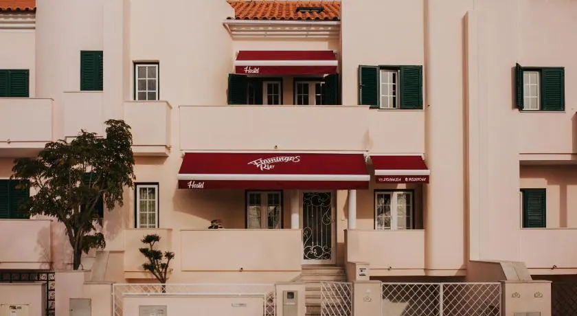 flamingos rio - Image 1
