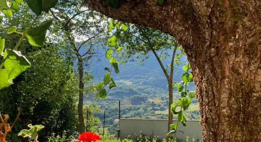 B&B Al San Francesco - Image 1