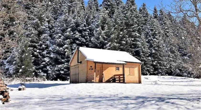 Wood Cabins by the River - for Nature Lovers - Image 1