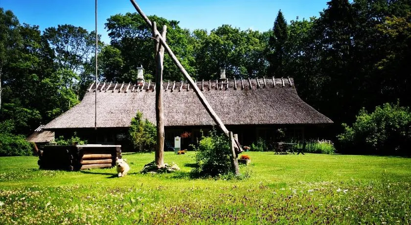 Kotka Farm - Image 1