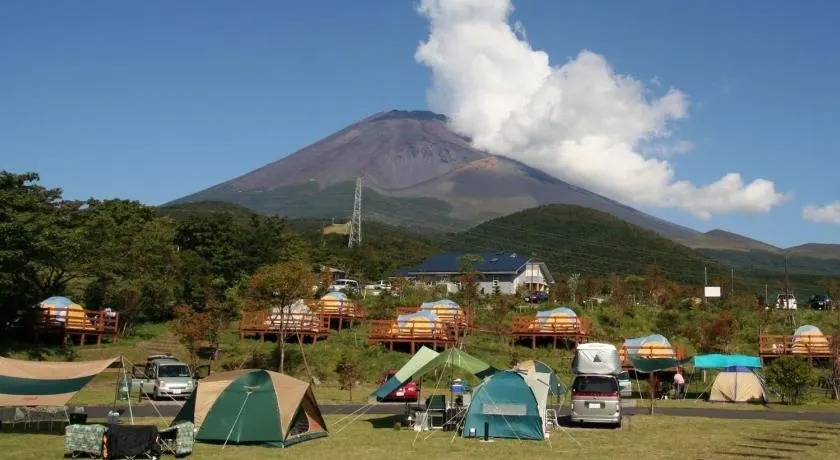 PICA Fuji Grinpa - Image 1