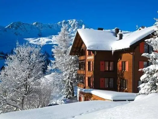 Hotel Sonnenhalde, Arosa - Image 1