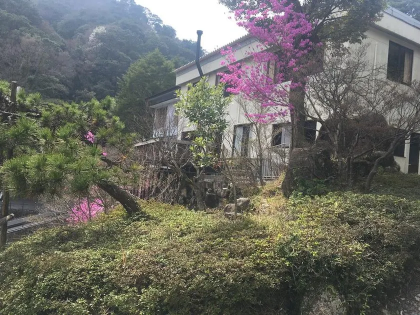 Misuzuso - Image 1