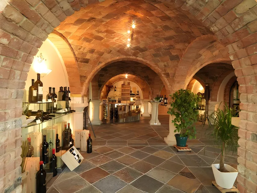 Weingut Skoff Original - Image 1