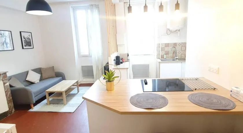 T2 COSY AU CALME,ENTREE AUTONOME,CENTRE HISTORIQUE - Image 1