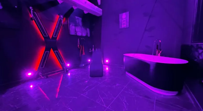 Loveroom de luxe - Thème 50 nuances de grey maison privative spa insolite - Image 1