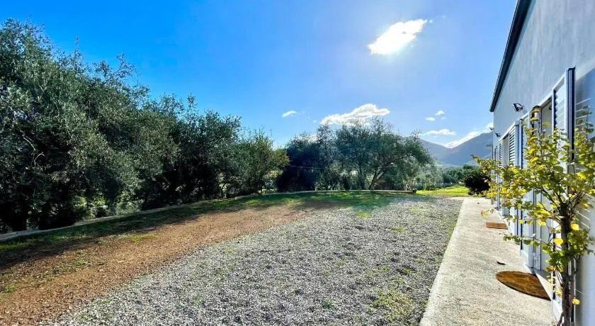 Sunny Hill - Image 1