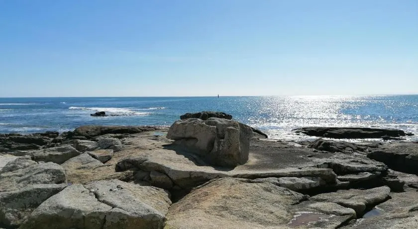 La Rose des Mers - Image 1