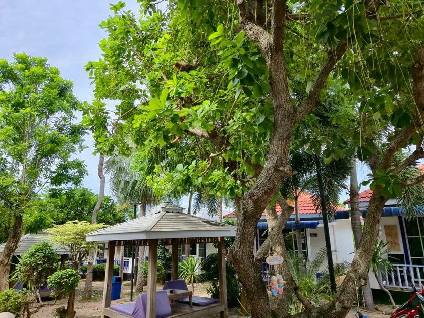 The Light House Resort - Kohlarn เดอะไลท์เฮ้าส์รีสอร์ท เกาะล้าน - Image 1