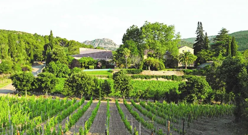 Château Haut Gléon - Image 1