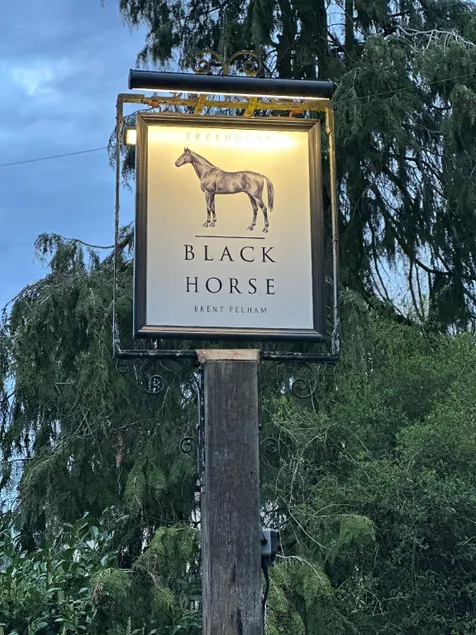 Black Horse - Image 1