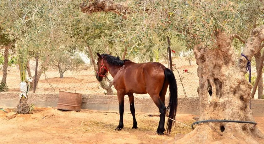 Ranch Tanit Djerba - Image 1