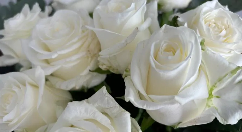 BG home - Image 1