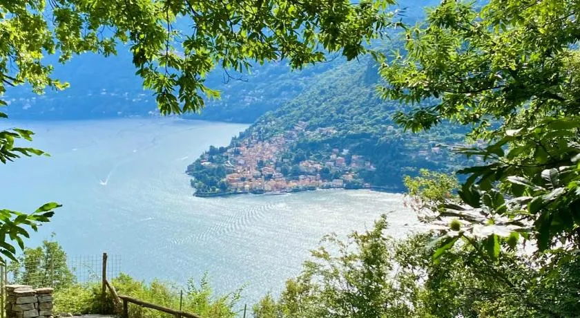 New IL RICCIO - Image 1