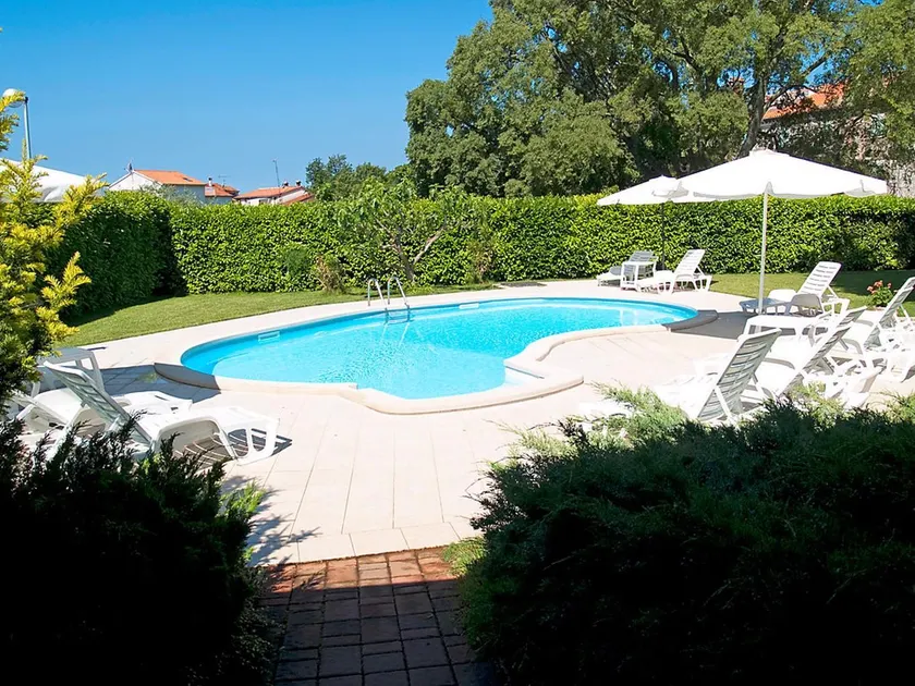 Nino with Shared Pool - Image 1