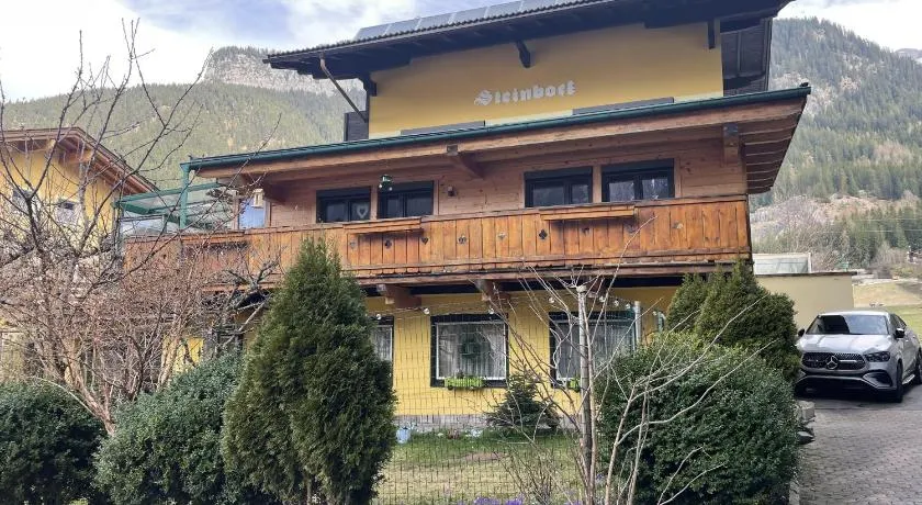Haus Steinbock - Image 1