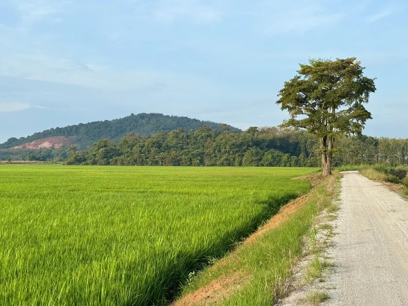 Bendang homestay - Image 1