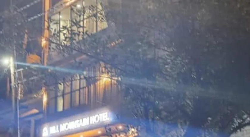 Hill Mountain Hotel - Image 1