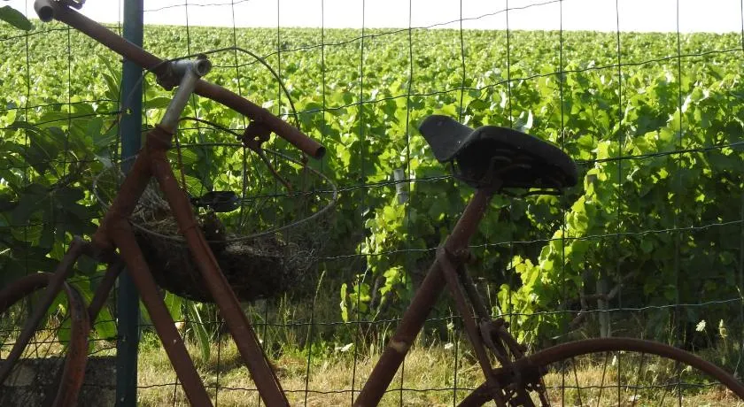 Au Coeur Des Vignes - Image 1